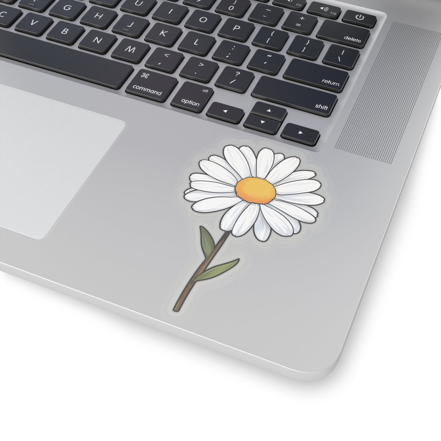 Daisy Delight Sticker